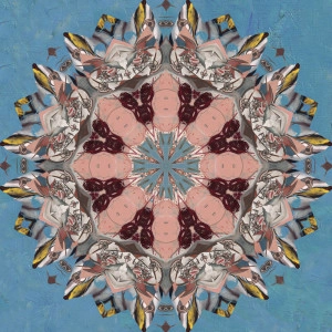 KALEIDOSZKÓPIKUS FÚZIÓ 2021