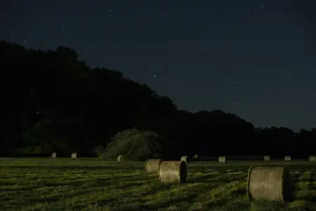 A falu éjjele (2024)