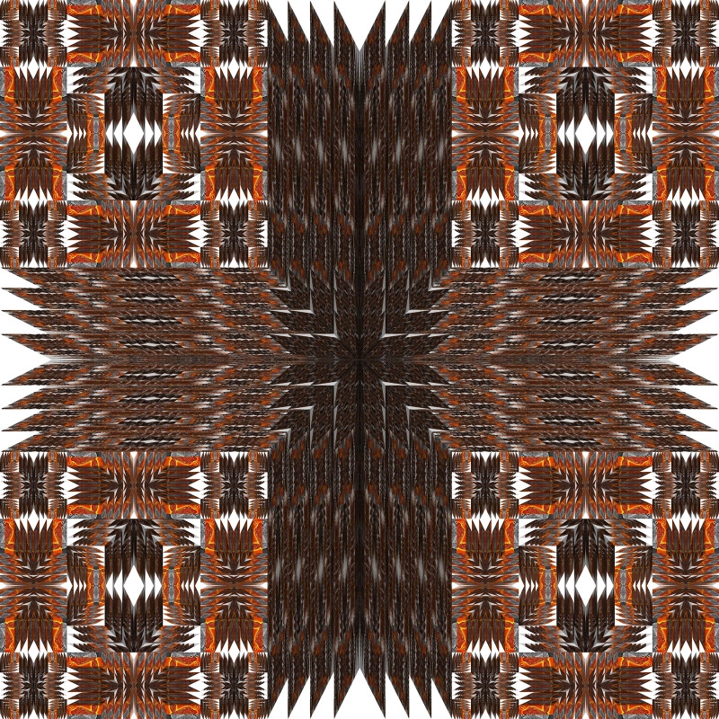 TRANSZFORMÁCIÓ II.