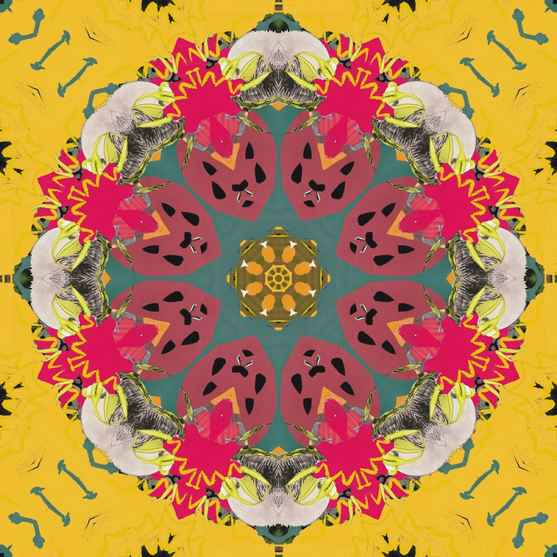 Natureza Morta 01A (Kaleidoscopic Fusion XXIII.)