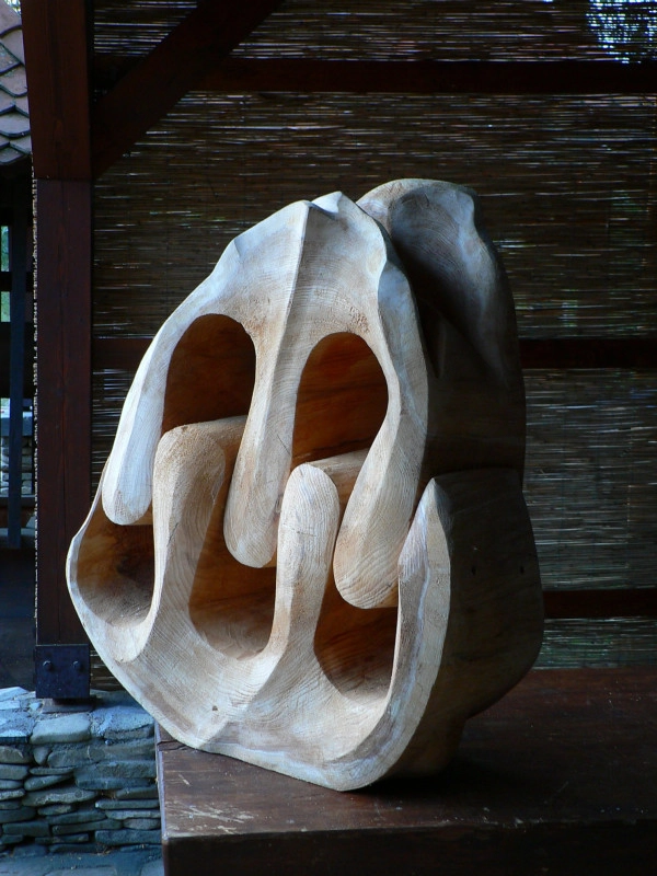 RAPSZÓDIA (Önrendelkezésre-törekvés)