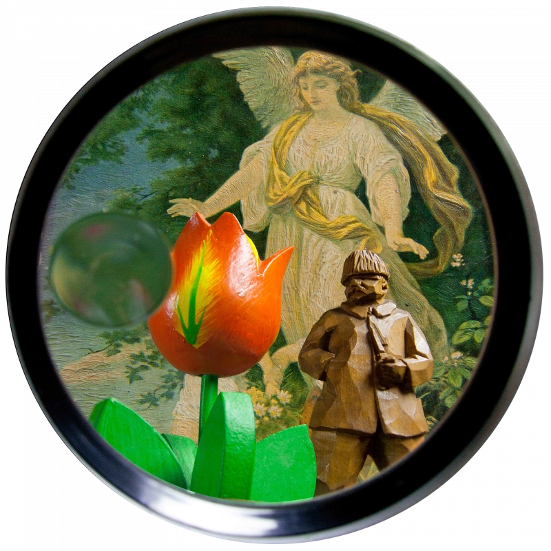 Bio jazz, avagy a nótázó parasztember tulipánja / ENERGY MUSIC sorozat