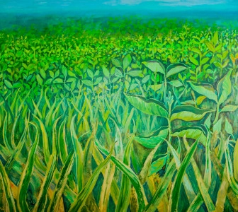 Zöld mező látkép