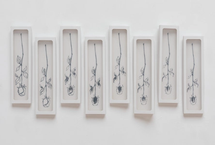 Memini tui, memento mei