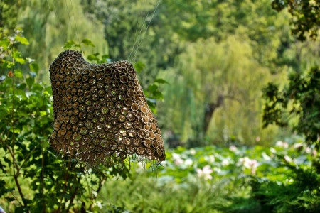 Hiding in a plain sight