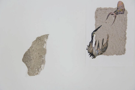 Natural Entities (Detail)