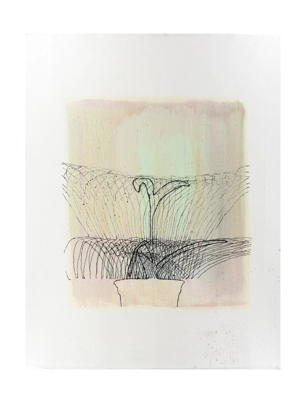 Növénystruktúra 9.