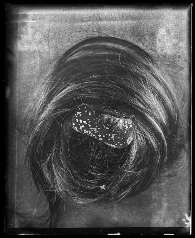 Megkapaszkodás 24022503