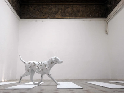 Zebrán átkelő dalmata