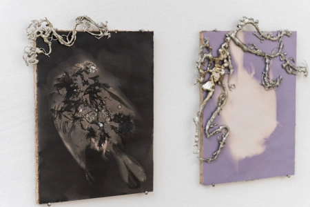 A halál nyomai I-II.