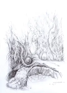 Rejtek erdő - titkos átjáró