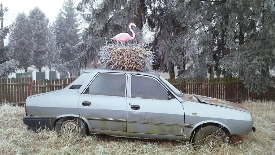 Dacia Flamingo