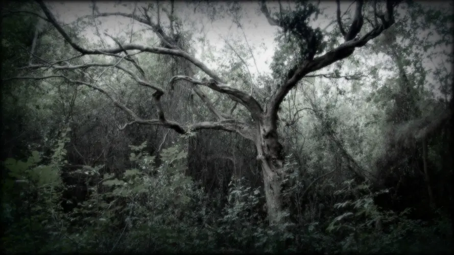 EGYÜGYŰ IMA című Fodor Ákos haikuhoz