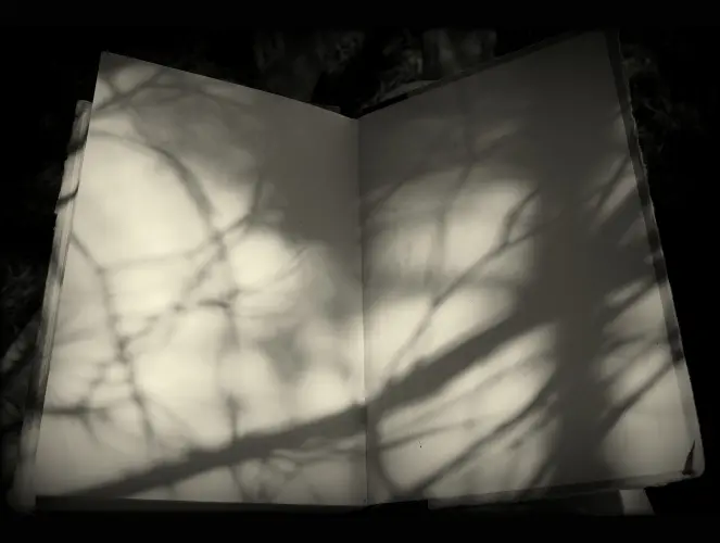 VERSEM RECEPTJE című Fodor Ákos haikuhoz