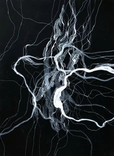 Fehér fűz gyökerek I.