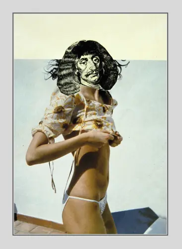 A szigetvári hős a srnadra megy