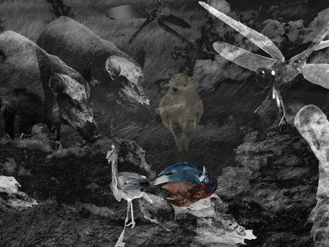 Kék XIII. (1/5)