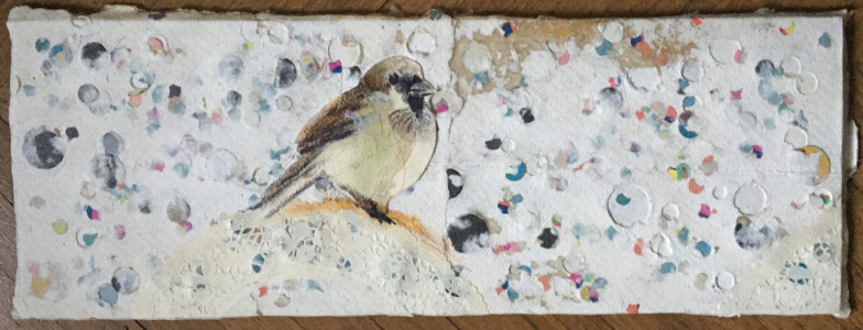 Madaraim - Veréb / My Birds - Sparrow