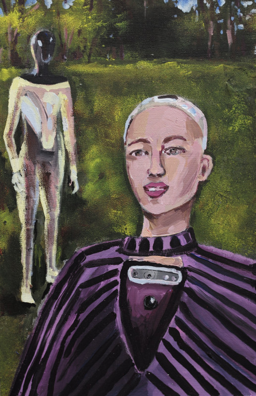 Sophia robot and a humanoid